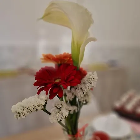 Tre Sorelle Bed and Breakfast Surbo